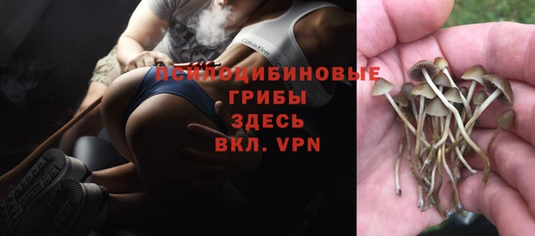 PSILOCYBIN Осинники