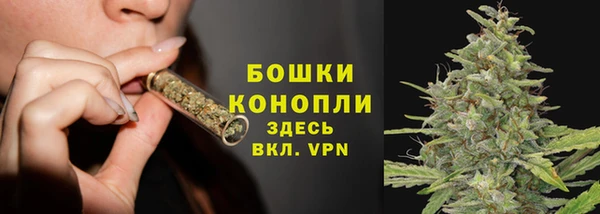 PSILOCYBIN Осинники