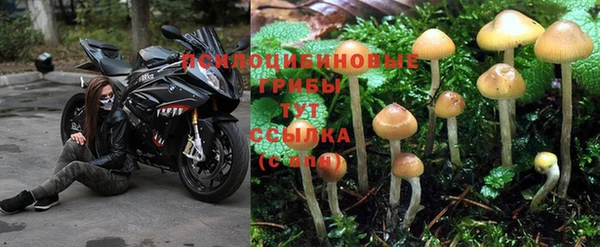 mix Осташков