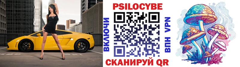 Псилоцибиновые грибы Psilocybe Калининец