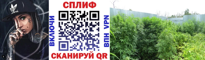 МАРИХУАНА Ganja  купить  сайты  Калининец 